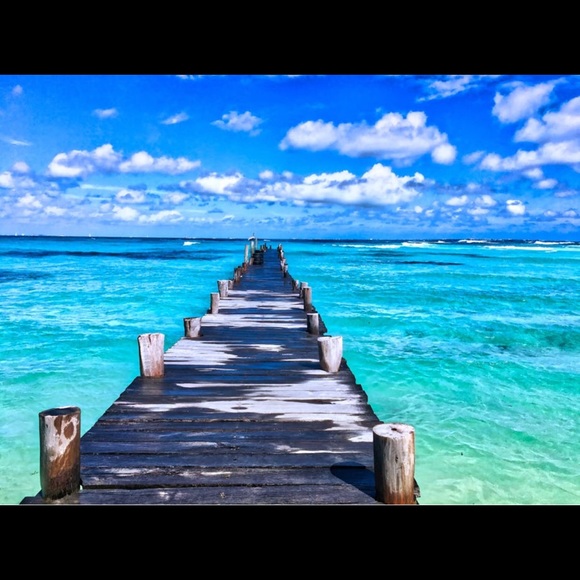 Meet your Posher, Marantha - Picture 8 of 8